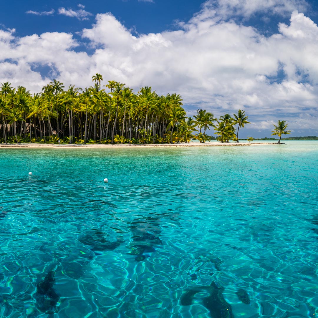 Click here for `French Polynesia 2023, <small>Travel Blog</small>` page...