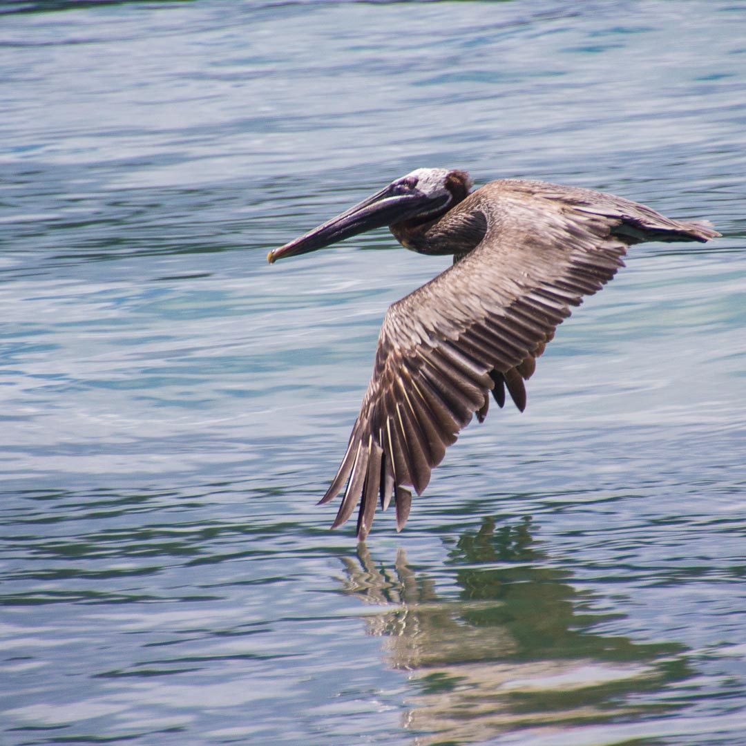 Click here for `Tortola 2014, <small>Travel Blog</small>` page...