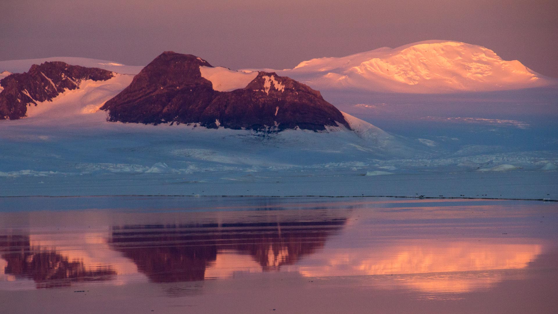 Snow‑covered Antarctic mountains glowing pink at sunrise, reflected in calm water at Duse Bay. Taken at 4:30 a.m. on a February morning at Duse Bay, Antarctic Peninsula. The first light of summer brushes the peaks and glaciers with rose‑gold, mirrored perfectly in the still water below. It’s a moment of absolute calm at the edge of the world — fragile, magnificent, and a reminder of what’s at stake if we fail to protect places like this. May those with power and influence find the will to act decisively on climate change, so scenes of such purity remain more than memories.