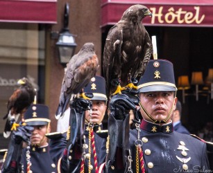 Mexican falconers march proudly at Bastille Day parade in Paris.